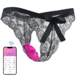 remote control underwear vibrator