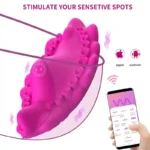 remote control underwear vibrator